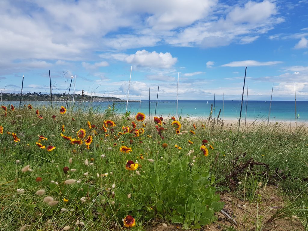 Plage de Saint-Cast